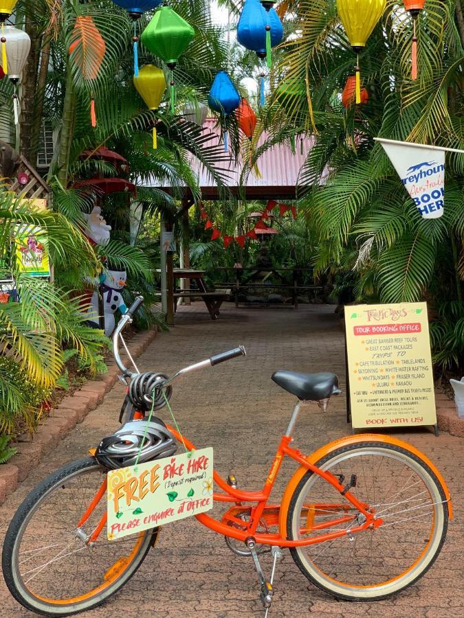 Tropic Days Boutique Hostel Cairns Eksteriør billede